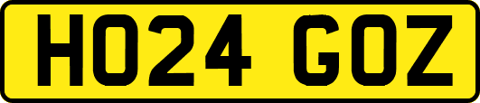 HO24GOZ
