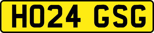 HO24GSG
