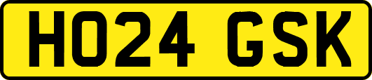 HO24GSK