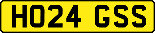 HO24GSS