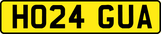 HO24GUA