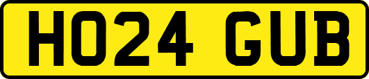 HO24GUB