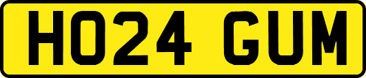 HO24GUM