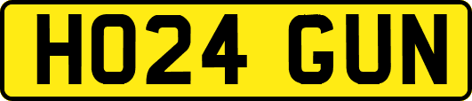 HO24GUN