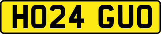 HO24GUO