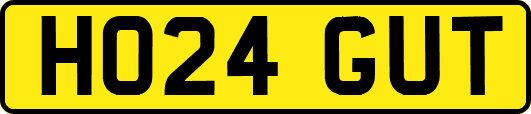 HO24GUT