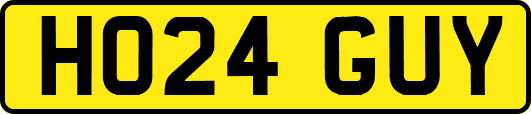HO24GUY