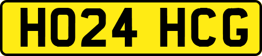 HO24HCG