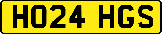 HO24HGS