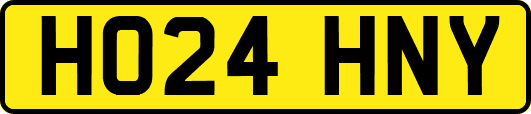 HO24HNY