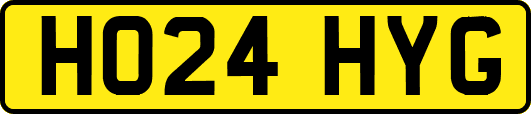 HO24HYG