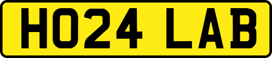 HO24LAB