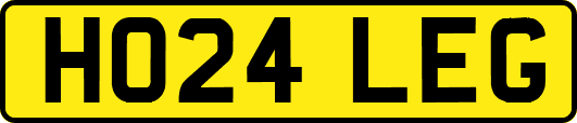 HO24LEG