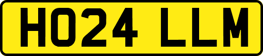 HO24LLM