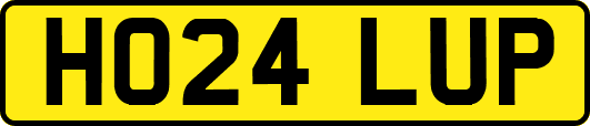 HO24LUP