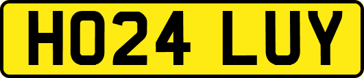 HO24LUY