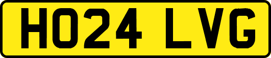 HO24LVG