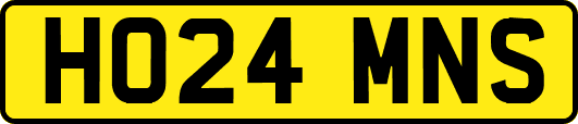 HO24MNS