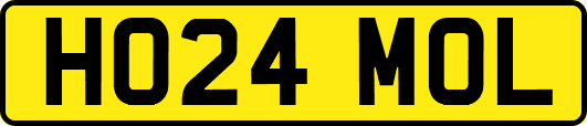HO24MOL