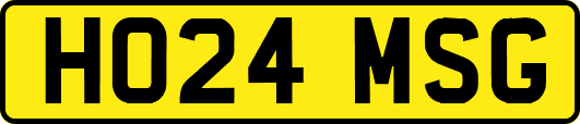 HO24MSG