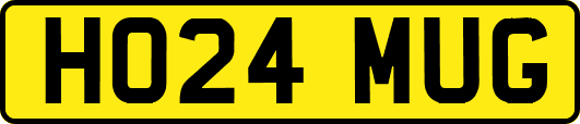 HO24MUG