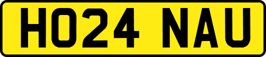 HO24NAU