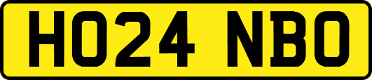 HO24NBO