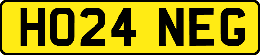 HO24NEG