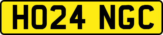 HO24NGC