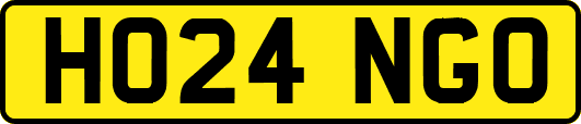 HO24NGO