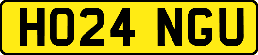 HO24NGU