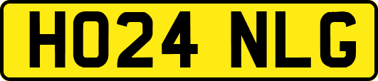 HO24NLG
