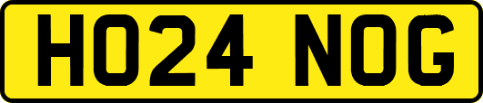 HO24NOG