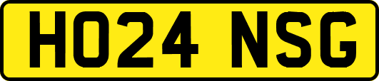 HO24NSG