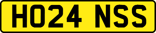 HO24NSS