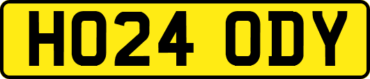 HO24ODY