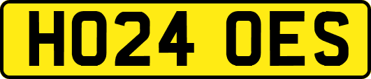 HO24OES