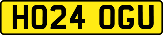 HO24OGU