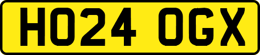 HO24OGX
