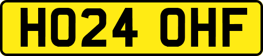 HO24OHF