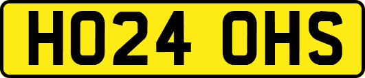 HO24OHS