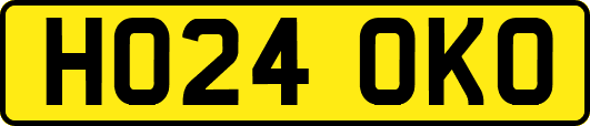 HO24OKO