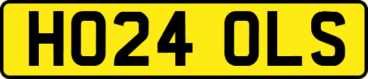 HO24OLS