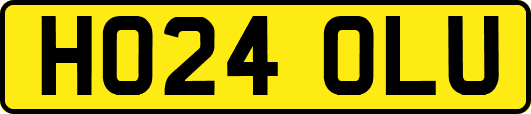 HO24OLU