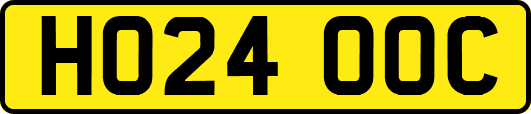 HO24OOC