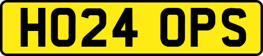 HO24OPS