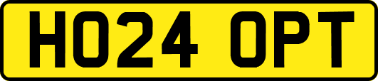 HO24OPT