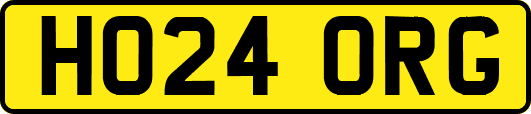 HO24ORG