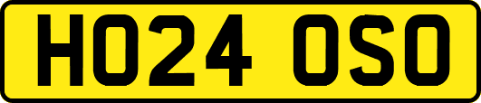 HO24OSO