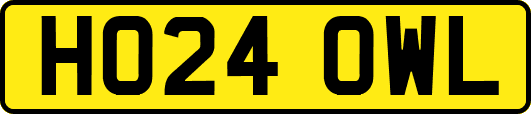 HO24OWL